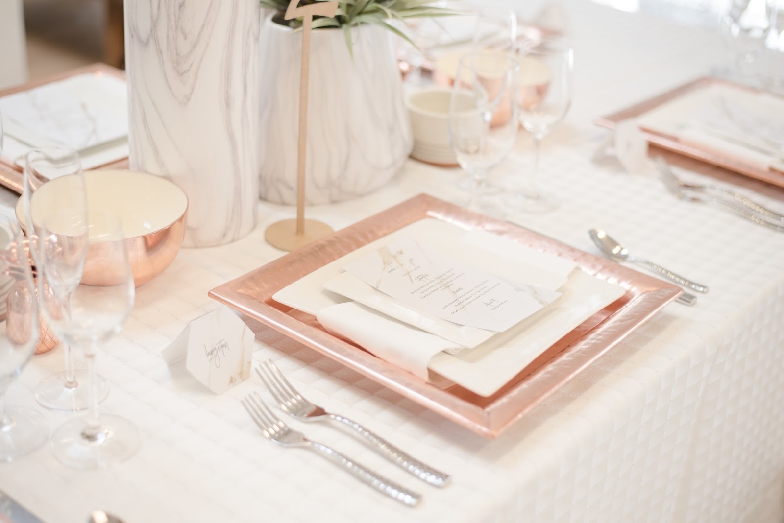 WILLIAMS PARTY RENTALS