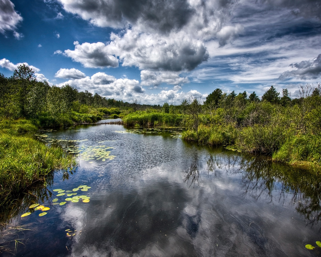 какая река летает