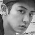 Anti-fãs tentam registrar Chanyeol (EXO) no 'Ilbe'