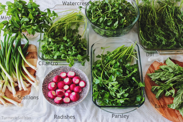 Basil, Cilantro, Dill, Mint, Parsley, Radishes, Scallions