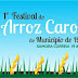 Como nasce o arroz?