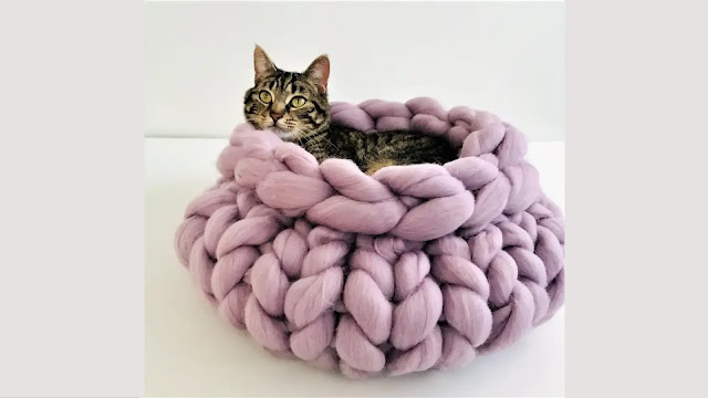Aprende a Tejer Cama de Gato a Crochet en 30 Minutos