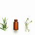 What are the essential oils and how do they work?