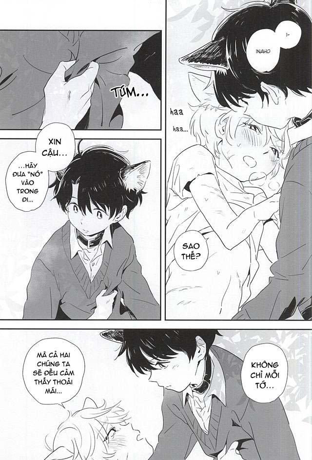 Đọc truyện Hai Kẻ Đơn Độc - Chapter 0