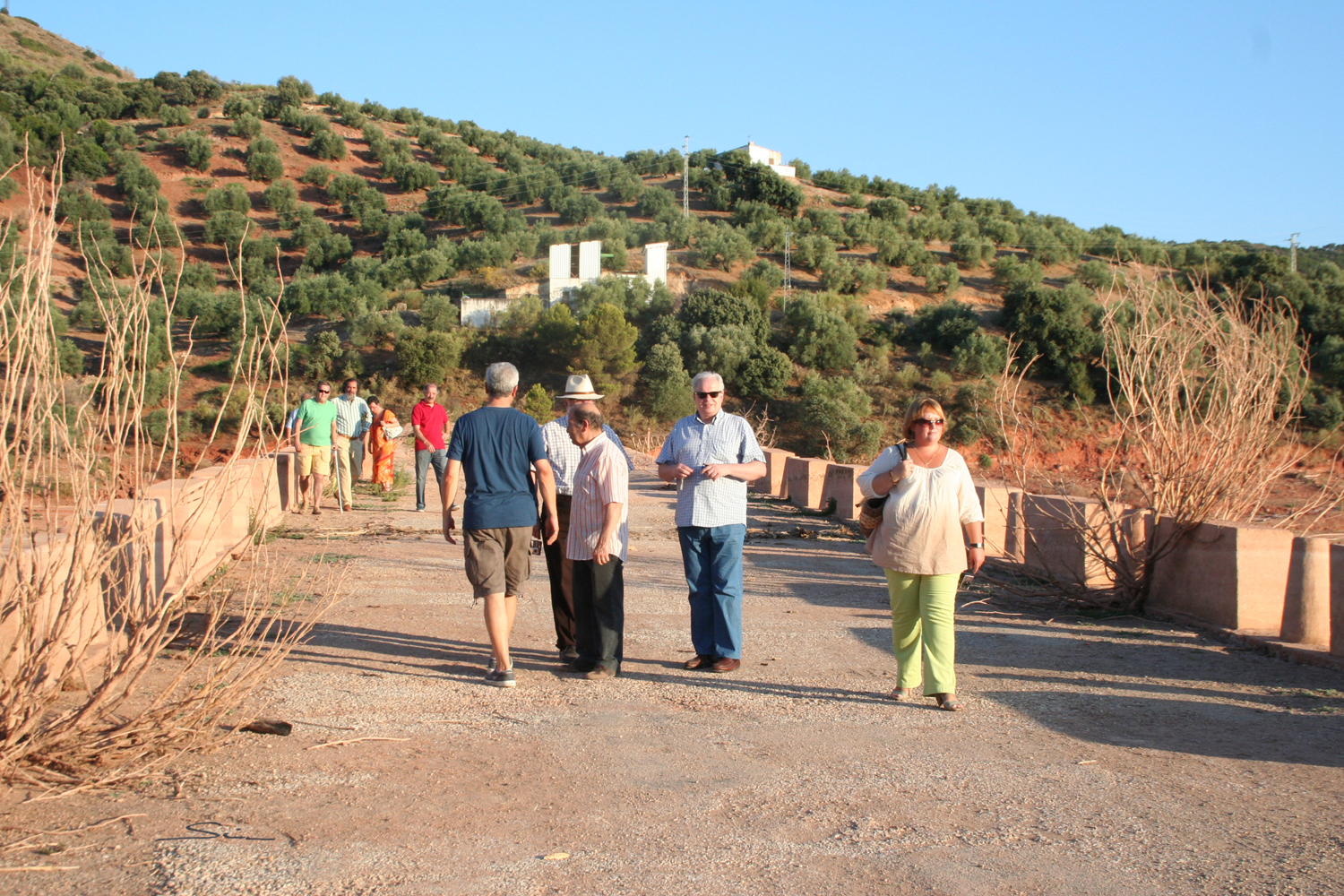 CABALLEROS VEINTICUATRO DE ÚBEDA 800 AÑOS DE LA BATALLA DE LAS NAVAS