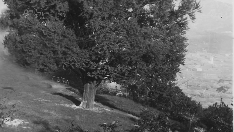 %25EC%2584%259C%25EC%259A%25B8%2B%25ED%2