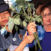 De Lima to Pimentel: I'm still senator, support my plea for occasional furlough