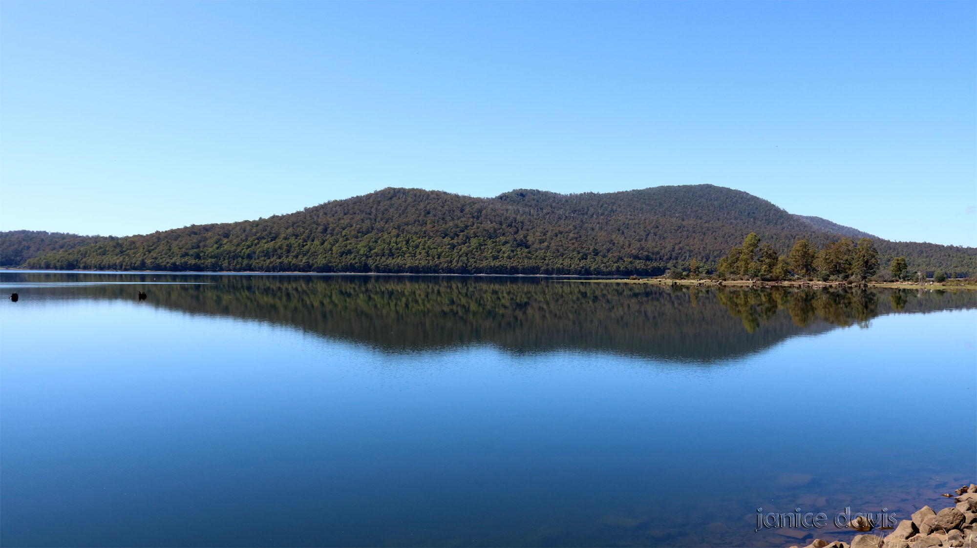 thoughts & happenings Bradys Lake, Tasmania