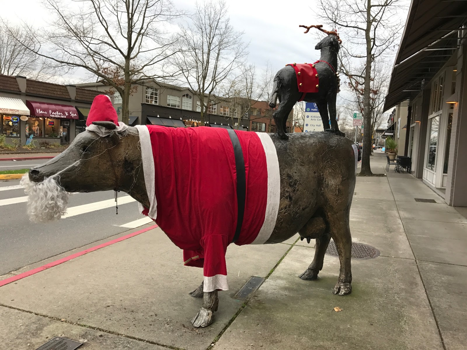 Joe's & Julia's Adventures 1/1/17 2/1/17