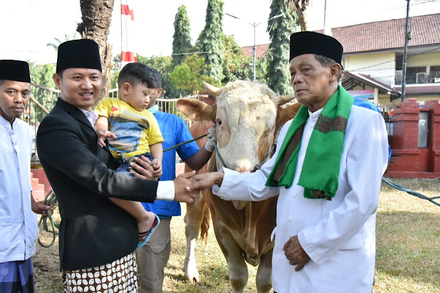 Bupati Trenggalek Serahkan Satu Ekor Sapi Qurban Kepada Ta'mir Masjid Agung Baiturrahman