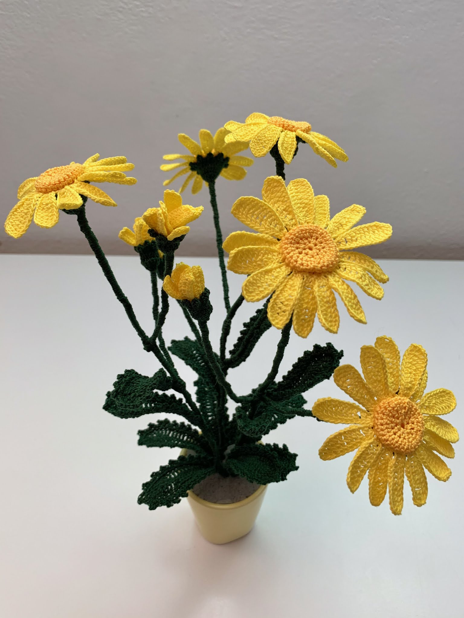 Semi Margherita Gialla Gigante Terre Di Romagna - Fiori Da Giardino Per Bordure