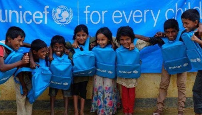 JOB POST: Compliance Consultant-Education Outcomes Fund at UNICEF [Remote 3 Months]: Apply by Jan 7