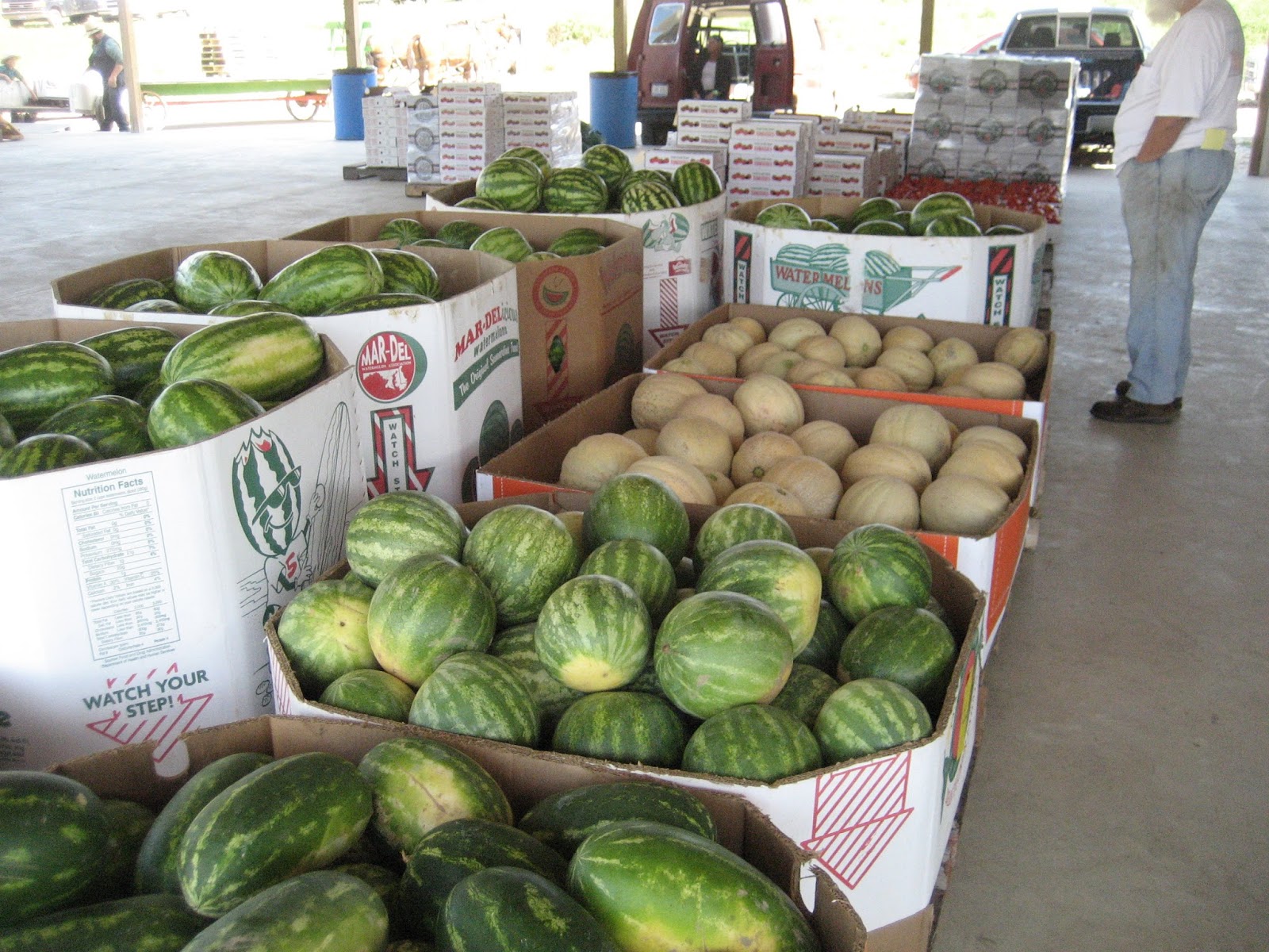 Owl Creek Produce Auction 08/08/16