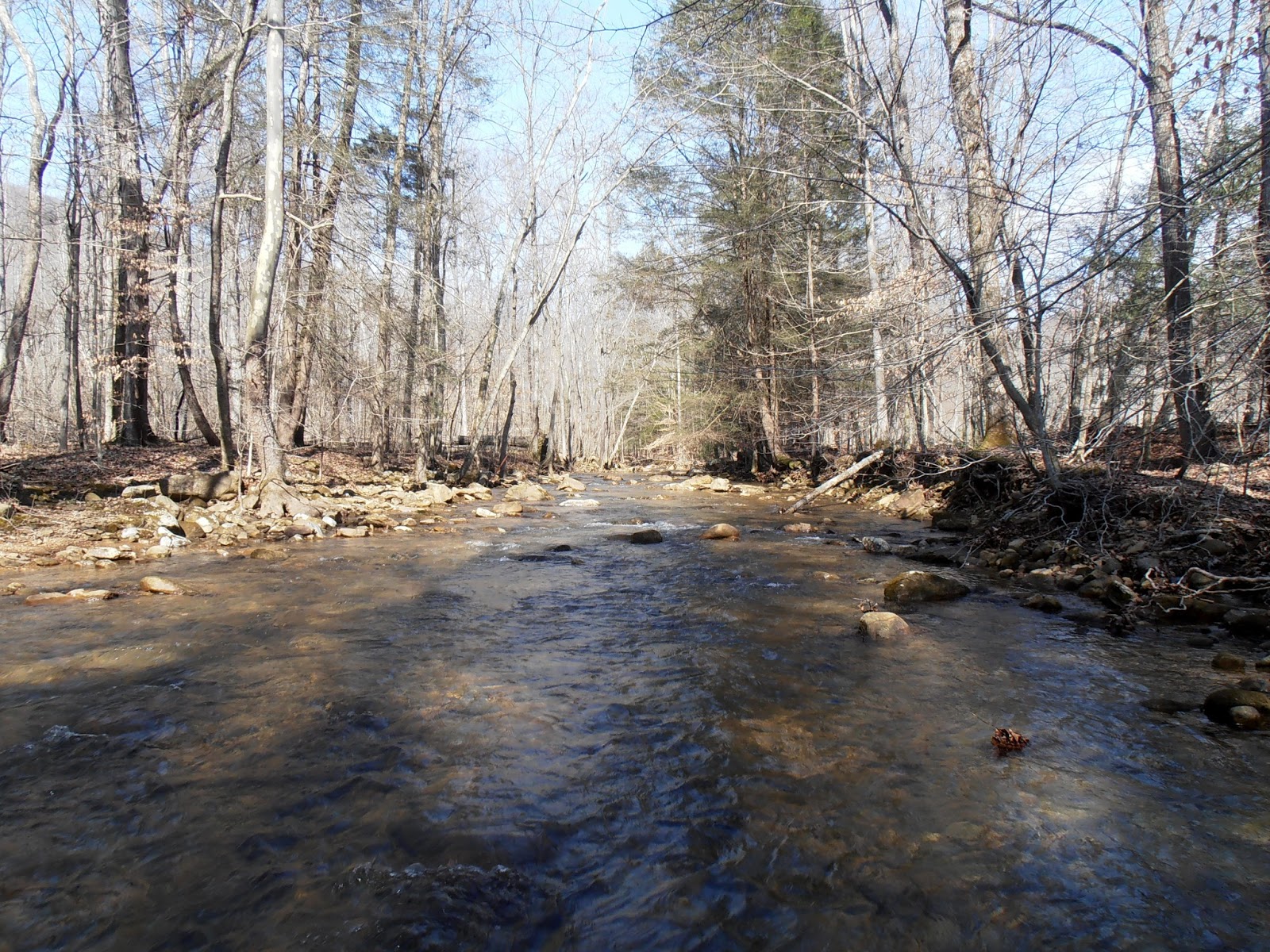 American Travel Journal Frozen Head State Park and Natural Area