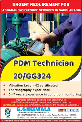 GulfJobPaper%2B%252827%2529
