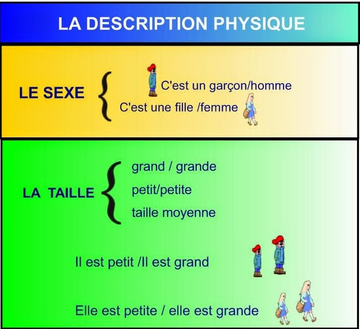 description physique en anglais physical appearance My teacher