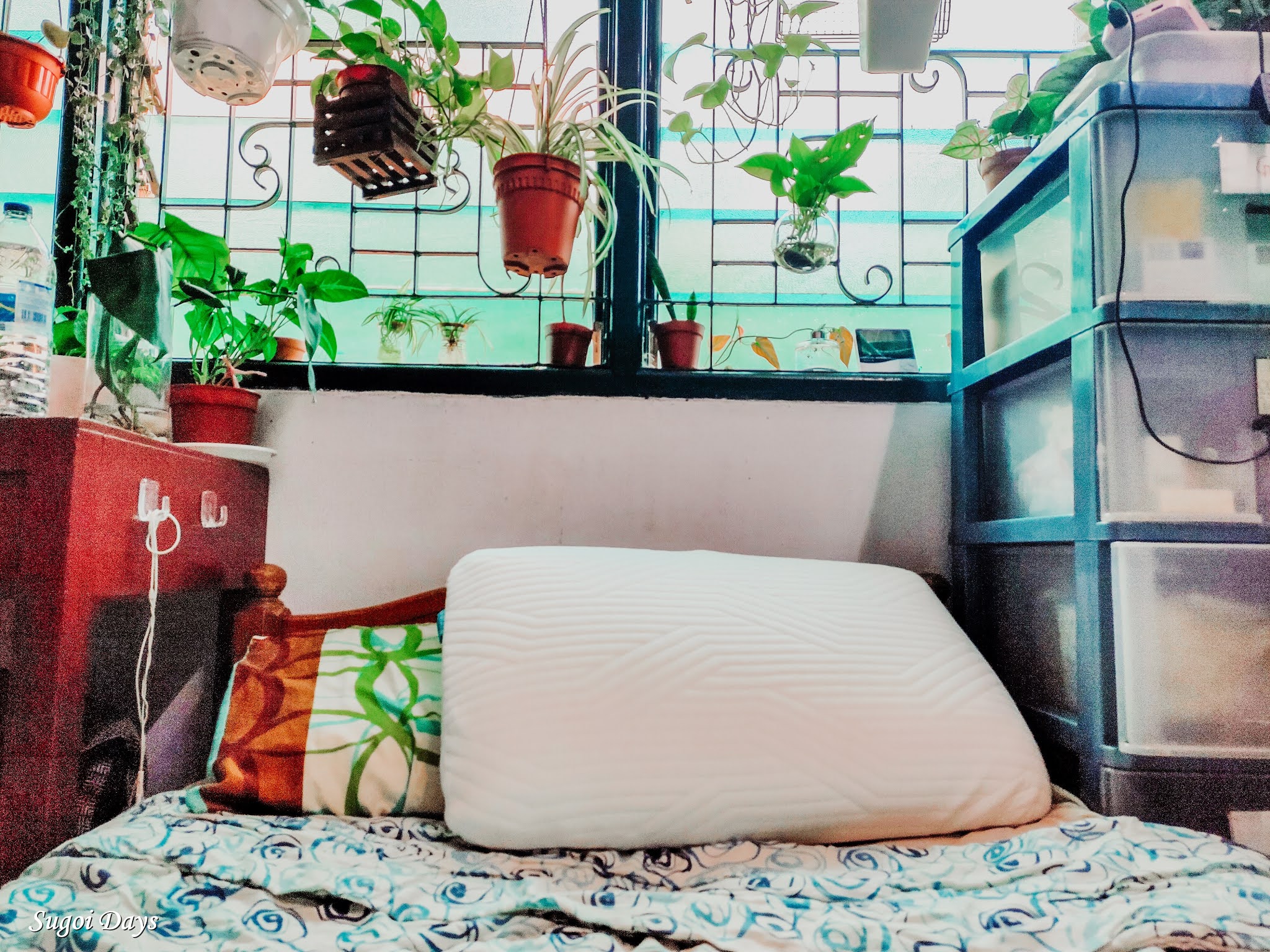 Sugoi Days [Review] Origin Hybrid Pillow An Investment Worth Sleeping on?