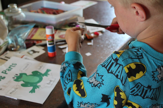 CAMP HOMESCHOOL: Super Summer Science - Frogs