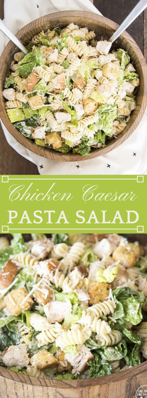 Chicken Caesar Pasta Salad #pasta #diet #healthyrecipe #keto #paleo