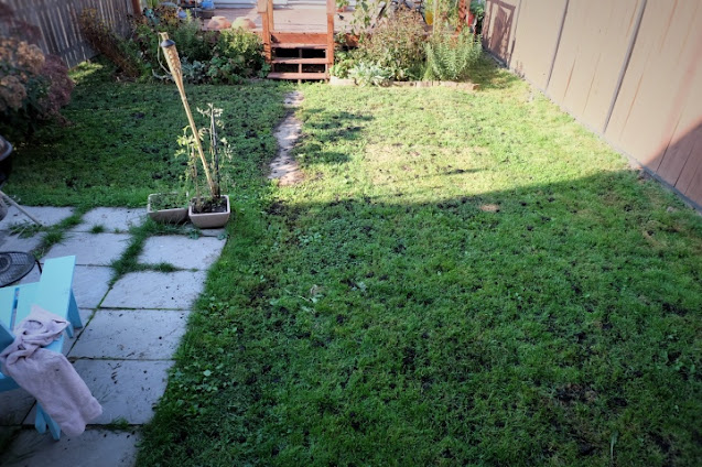 backyard with clumps of compost