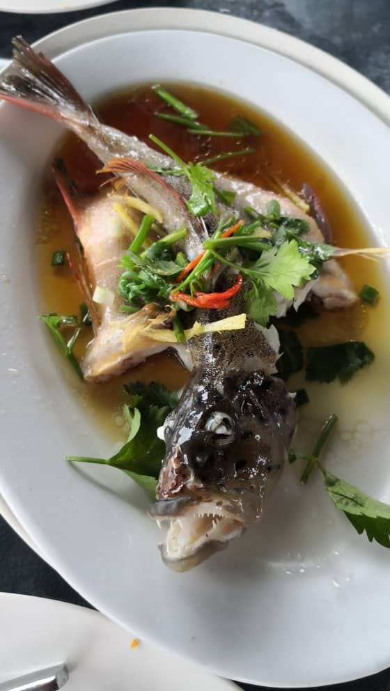 James Fish Farm Kudat, Sabah.