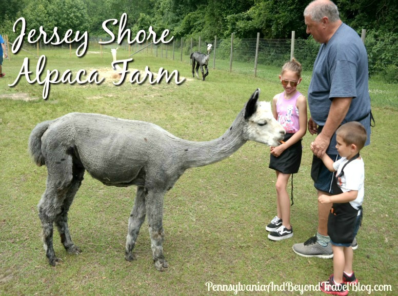 Pennsylvania & Beyond Travel Blog Family Fun at the Jersey Shore