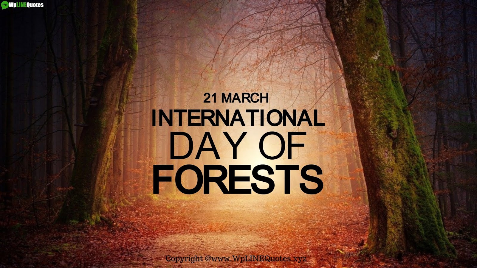 International Day Of Forests Quotes, Slogans, Theme, Facts, Images, Poster International Day Of Forests Quotes, Slogans, Theme, Facts, Images, Poster