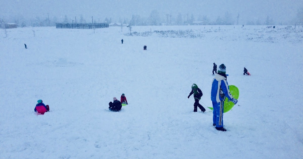 Snow day—Spots to go sledding West Seattle Adventures