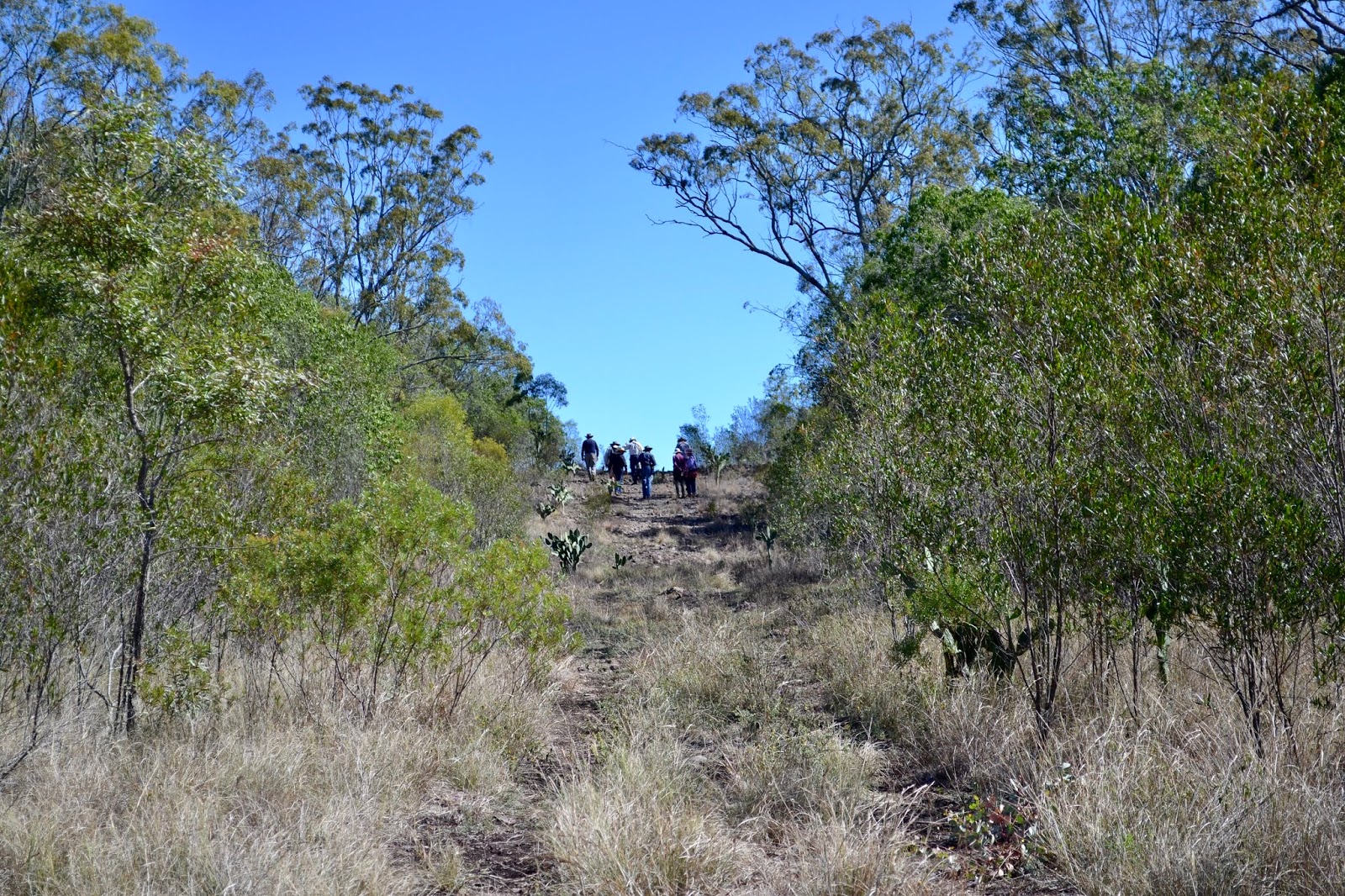 Toowoomba Field Naturalists Outing Report Sunday 05 MAY to McEWAN