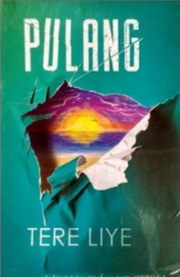 Contoh Resensi Novel