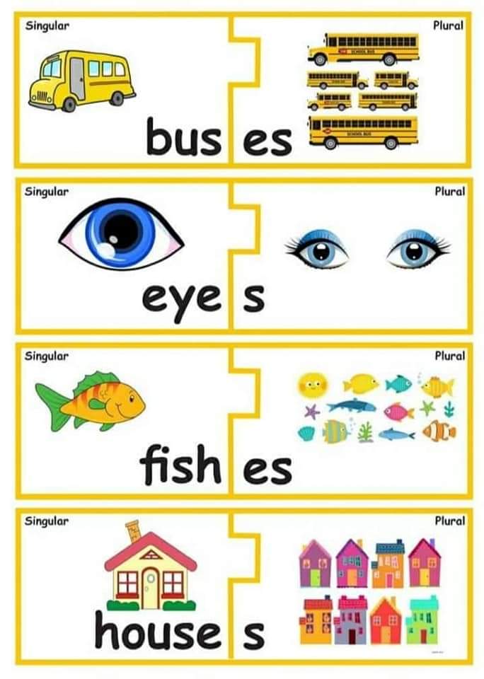 Inglês singular e plural Cards em inglês para trabalhar singular e