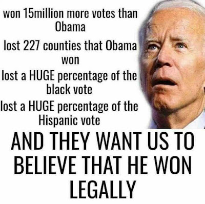 ELECTION%2BBIDEN%2BNUTS%2B%252829%2529.jpg