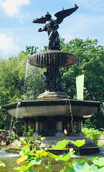 The Bethesda Fountain, Central Park Pedicab Rickshaw Tours