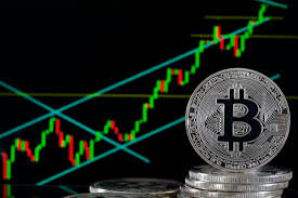 Bakkt bitcoin trading total
