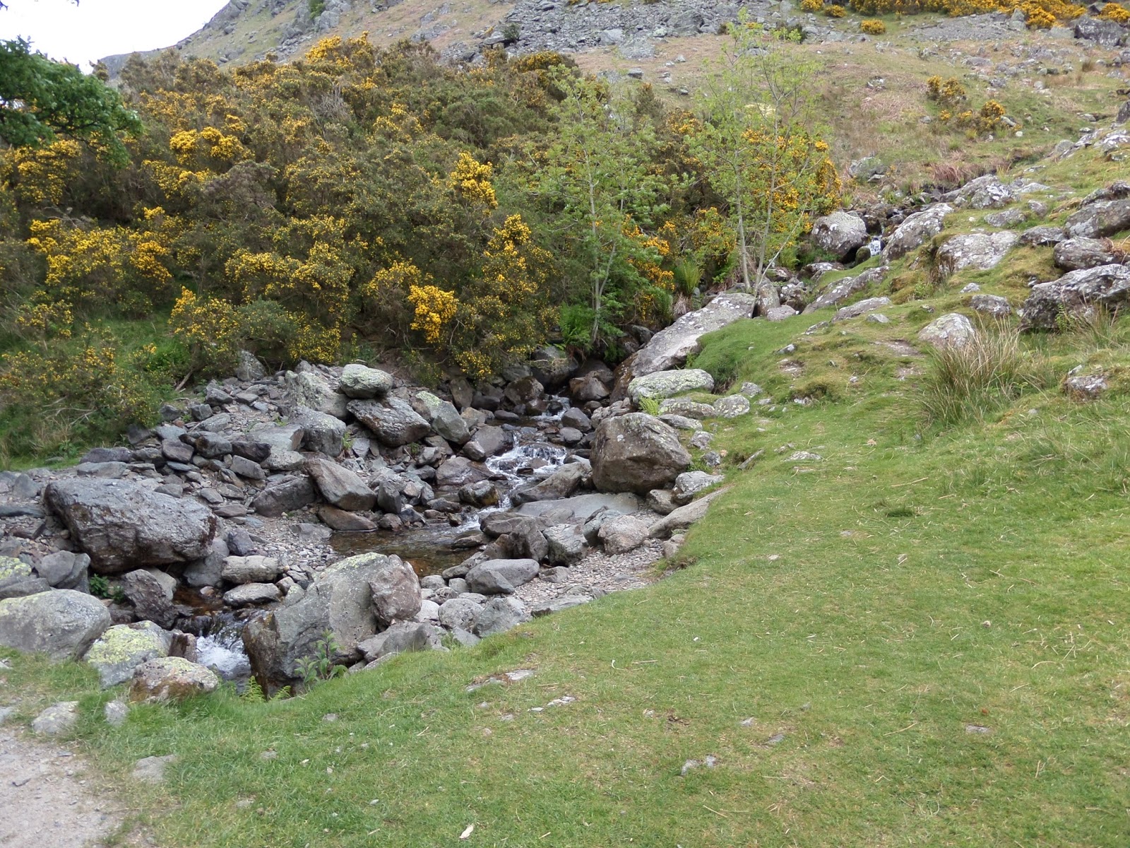 One Girl and Her Dog Howtown