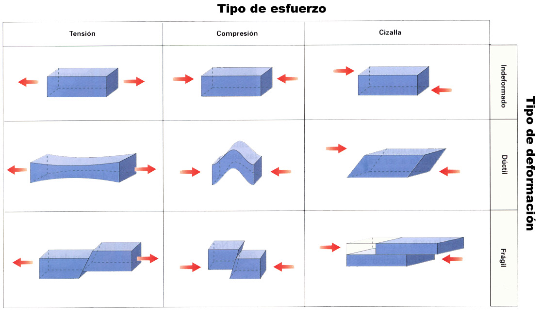 Estudia La Deformación De La Materia