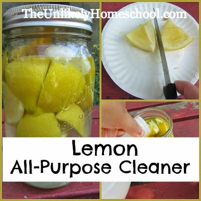 Lemon All Purpose Cleaner {The Unlikely Homeschool}