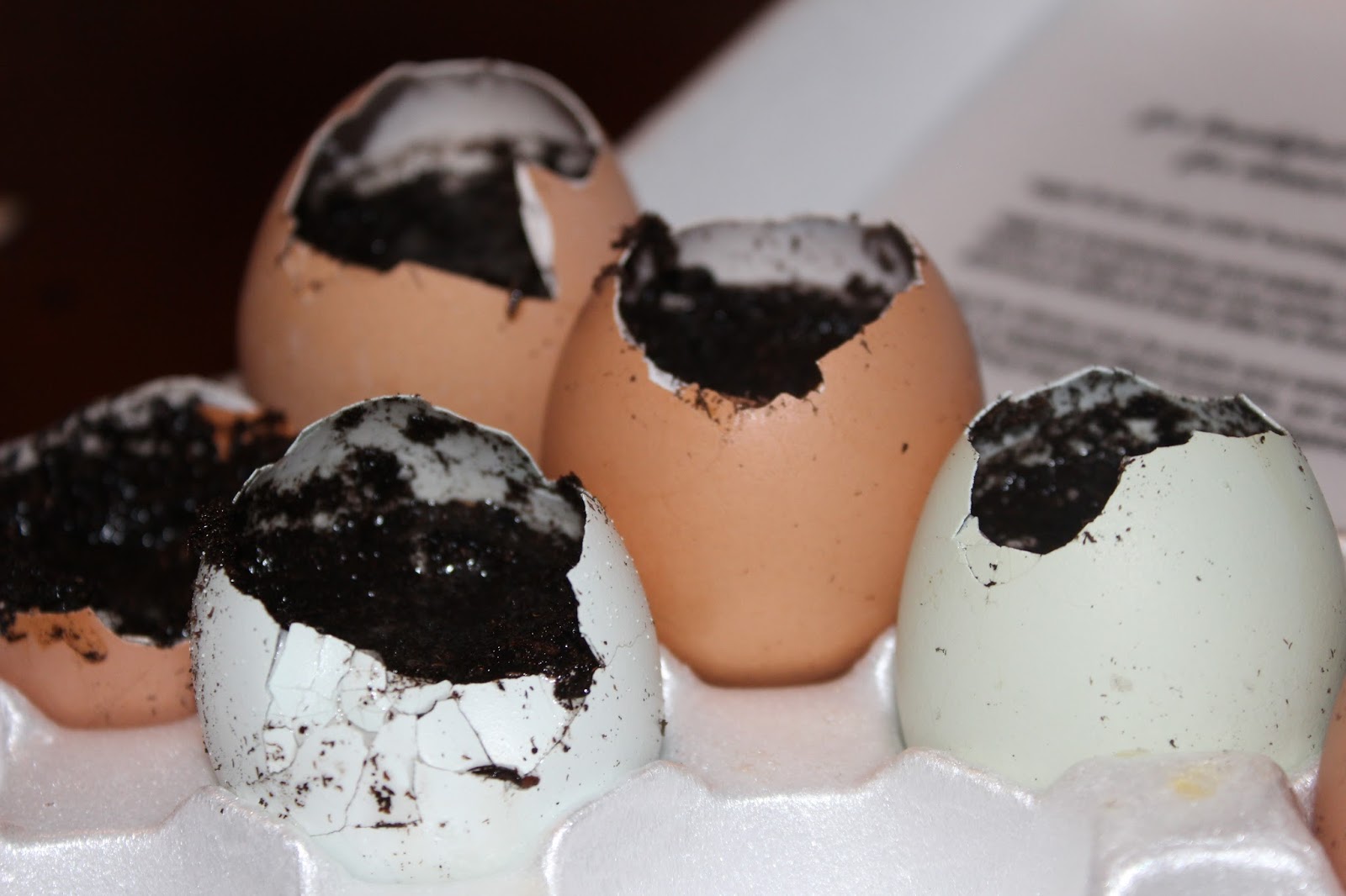 Nourished Soul Guru Recycled Egg Shells For Calcium Rich Soil