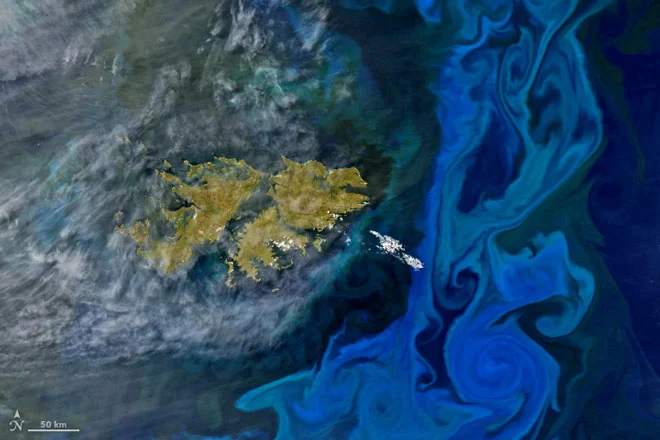 Flowering of algae in the South Atlantic on a satellite photo (2)