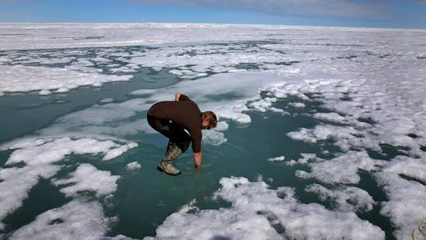 Altas temperaturas en alaska están derritiendo el hielo. Altas temperaturas en alaska están derritiendo el hielo.
