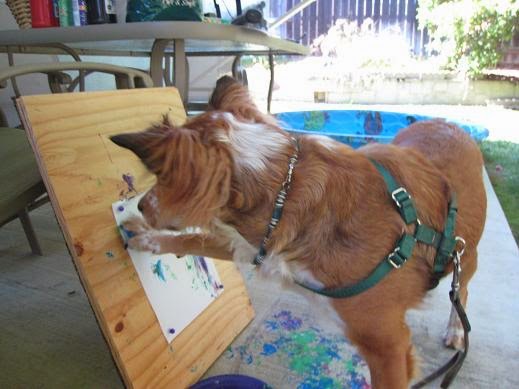 How to Teach Your Dog to Paint 