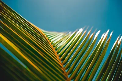 fotos-creativas-en-la-playa