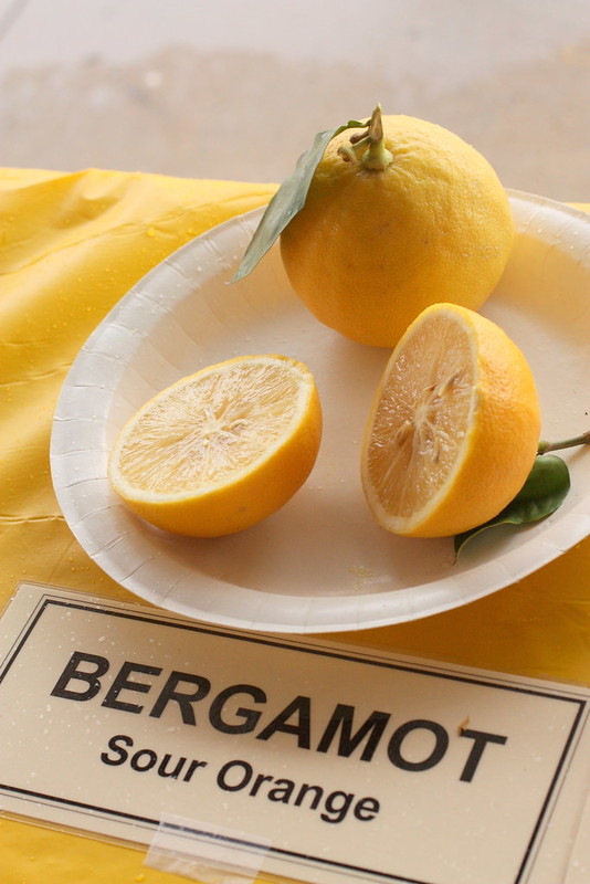 10 of the World's Most Unusual Citrus