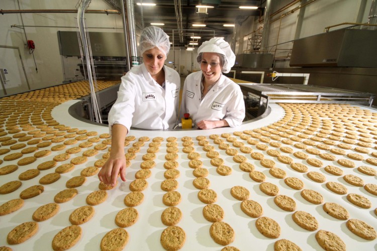 How to start Biscuit Manufacturing Business?