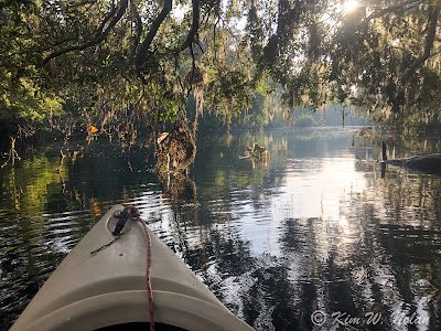 Canoeing on the Hillsborough River