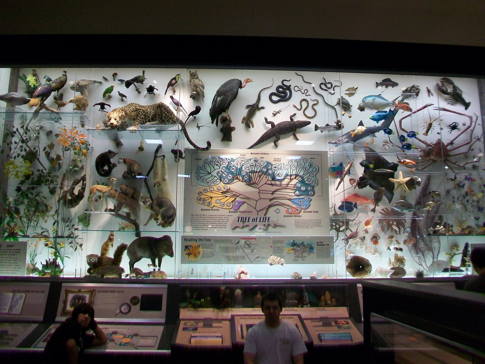 Notice Nature: Milwaukee Public Museum