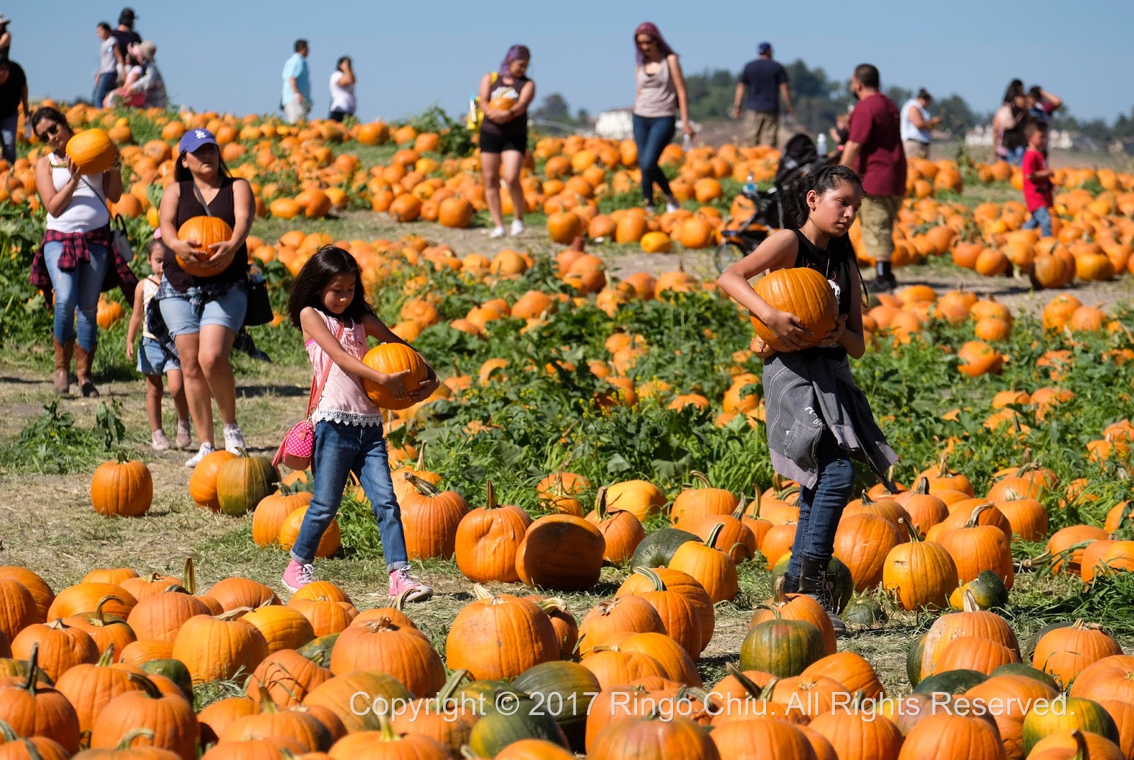 Ringo Chiu Photography 20171007 Pumpkin Festival in Cal Poly Pomona