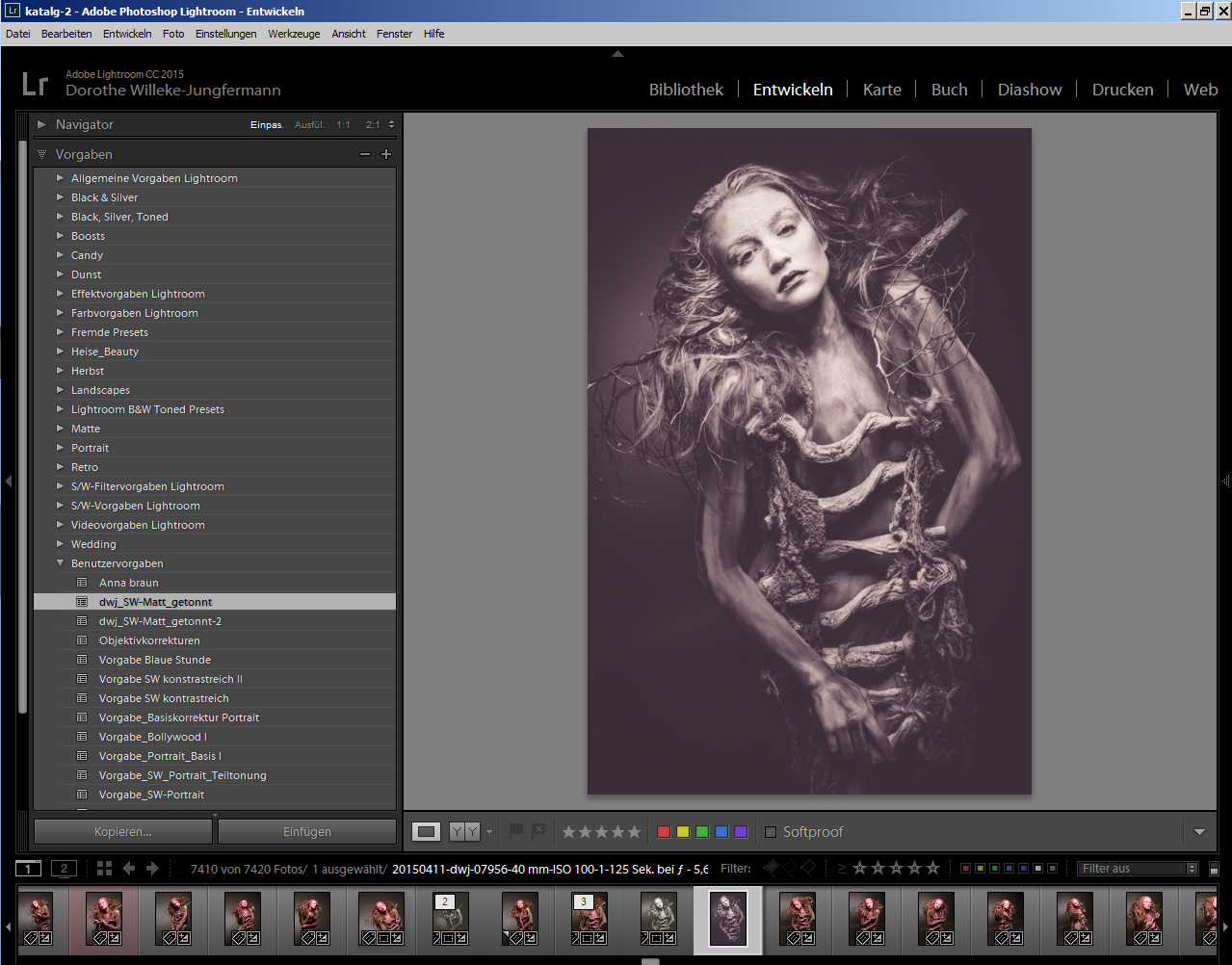 Lightroom Presets Importieren