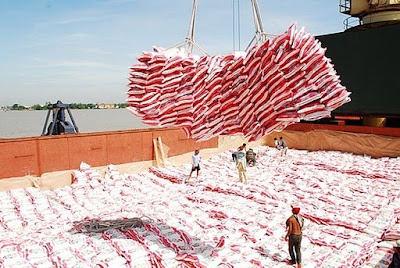 quy trình thủ tục xuất khẩu gạo