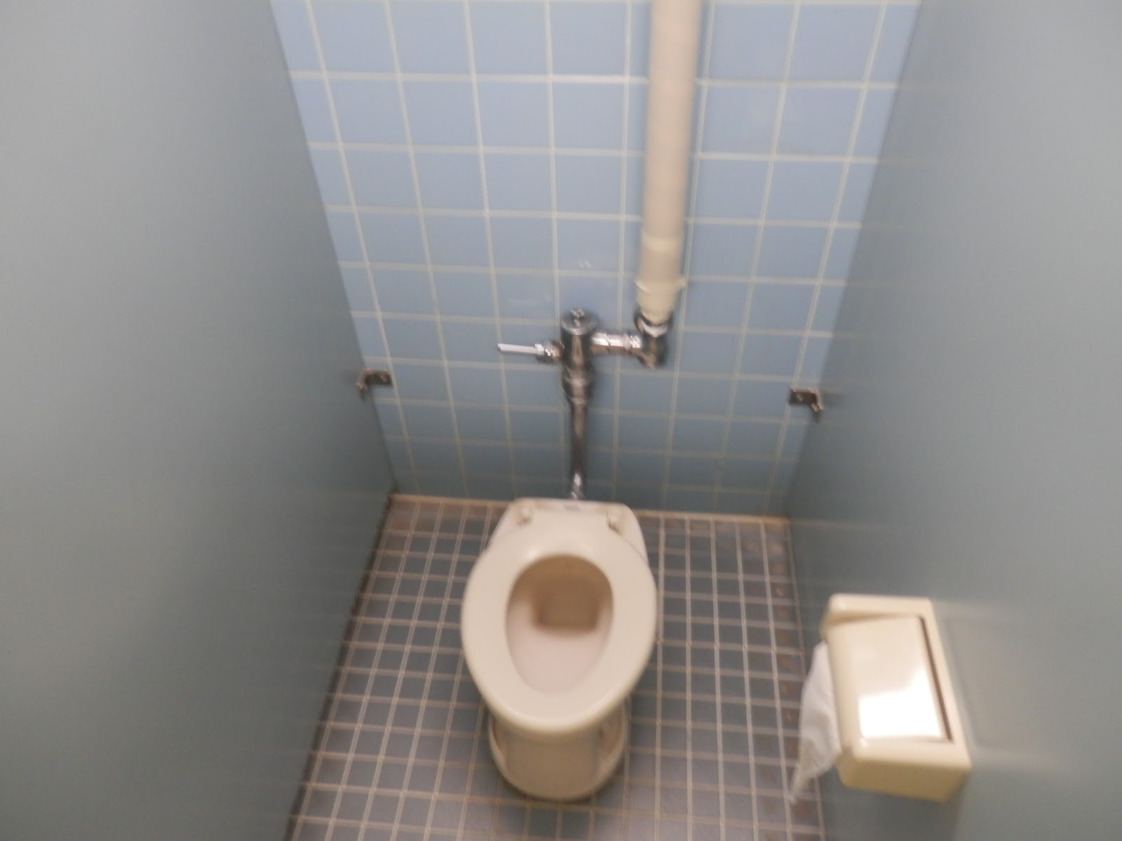 ～挑戦すること 好奇心をもつこと～ 次女 お遊戯会 ～幼稚園トイレ施策をチェック～